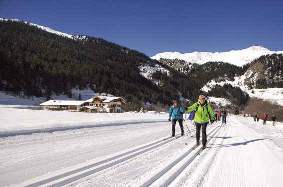 Ellis langlaufen sneeuwlandschap